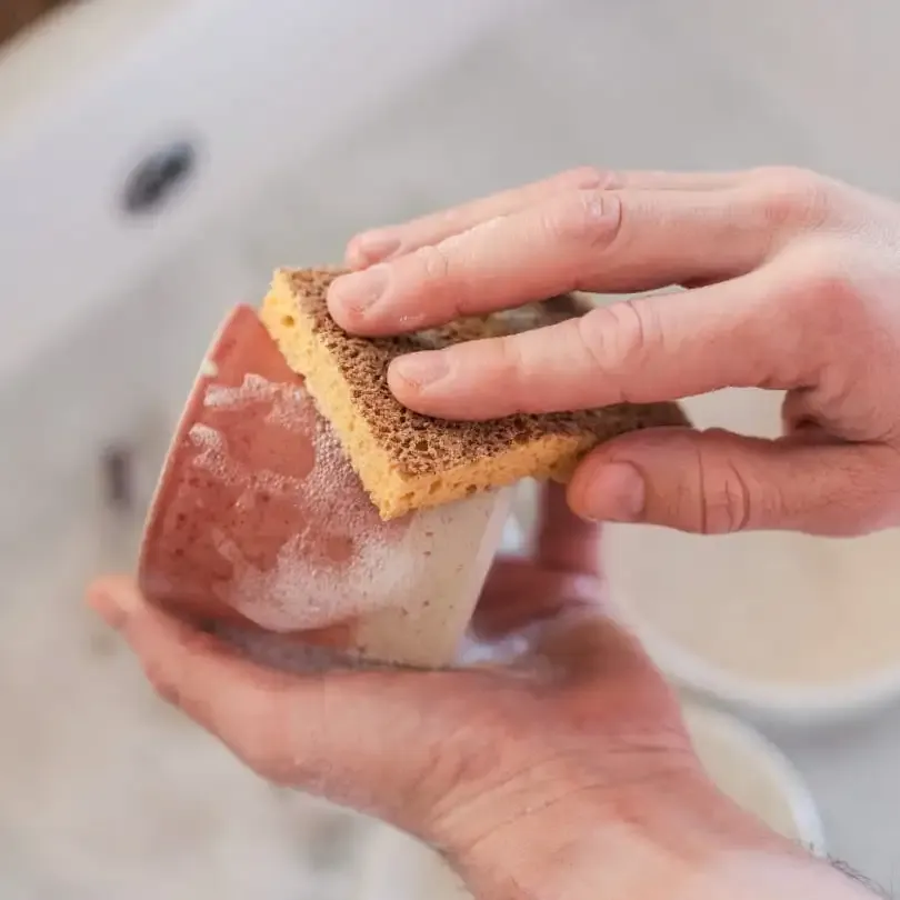 Éponge Grattante Végétale - Image 2